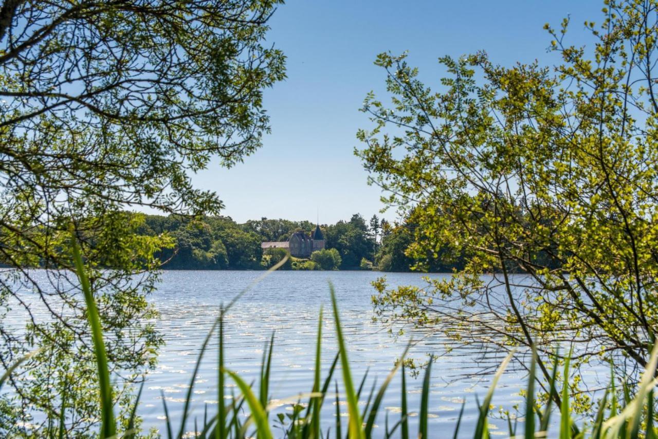 Le Domaine De La Briandais, Expérience De Sobriété électromagnétique