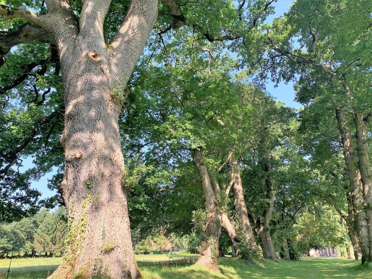 Le Domaine De La Briandais, Experience De Sobriete Electromagnetique