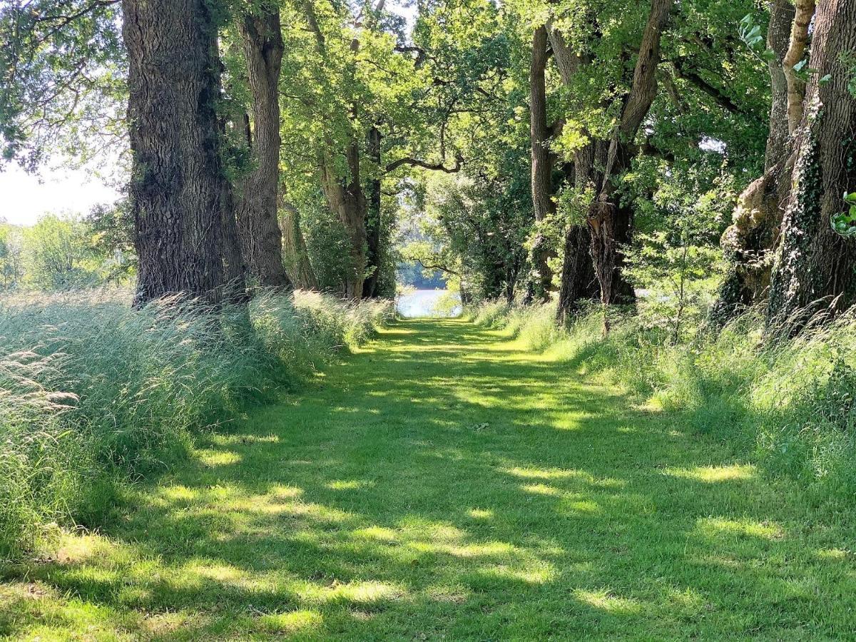 Le Domaine De La Briandais, Experience De Sobriete Electromagnetique 3* Missillac