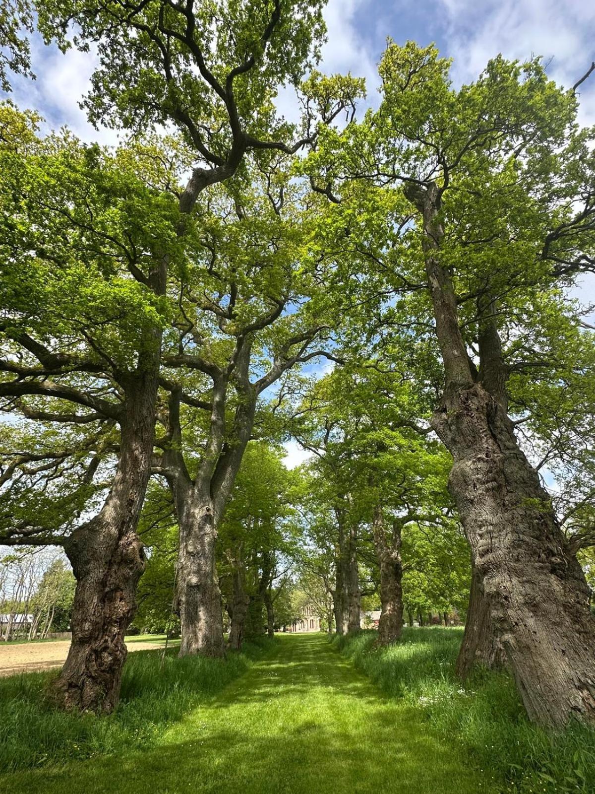 Le Domaine De La Briandais, Experience De Sobriete Electromagnetique 3*