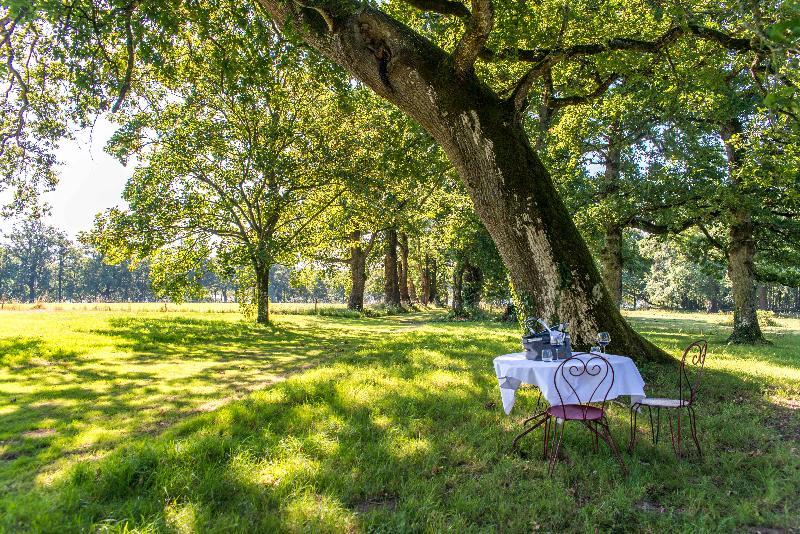 Le Domaine De La Briandais, Expérience De Sobriété électromagnétique Hotel 3*